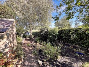 Photo 13- click for photo gallery